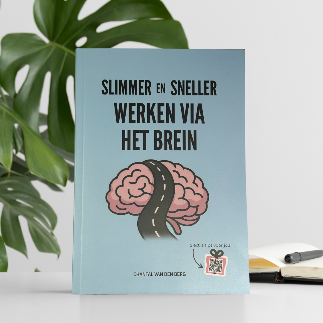 Boek Slimmer en Sneller Werken via het Brein van Chantal van den Berg, staand op een bureau naast een monstera plant
