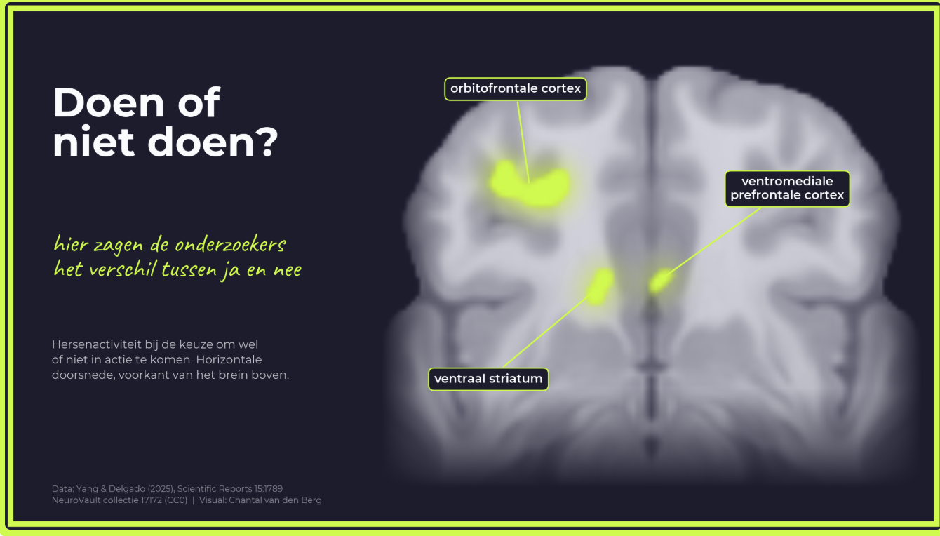 Visual 'Doen of niet doen?' met een hersendoorsnede waarin drie gebieden oplichten bij de keuze om wel of niet in actie te komen